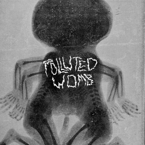 Polluted Womb - Polluted Womb VIII (2024) Download