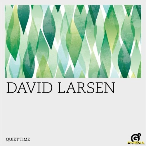 David Larsen – Quiet Time (2024)