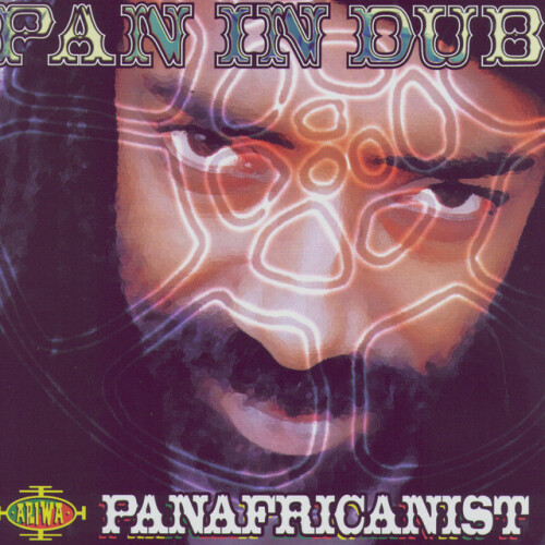 The Panafricanist - Pan In Dub (2002) Download