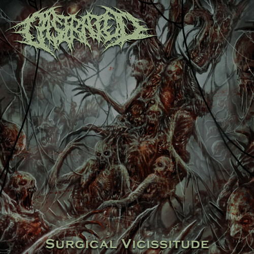 Castrated - Surgical Vicissitude (2024) Download