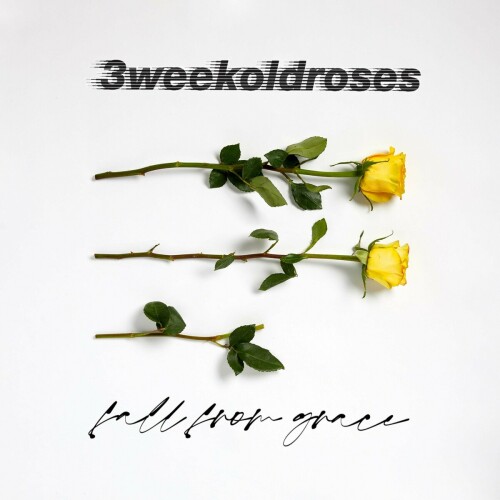 3weekoldroses – Fall From Grace (2021)