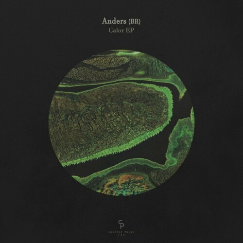 Anders - Calor EP (2024) Download