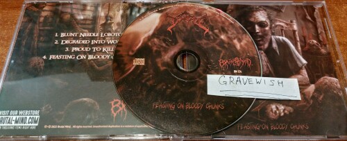 Degrade - Feasting On Bloody Chunks (2022) Download