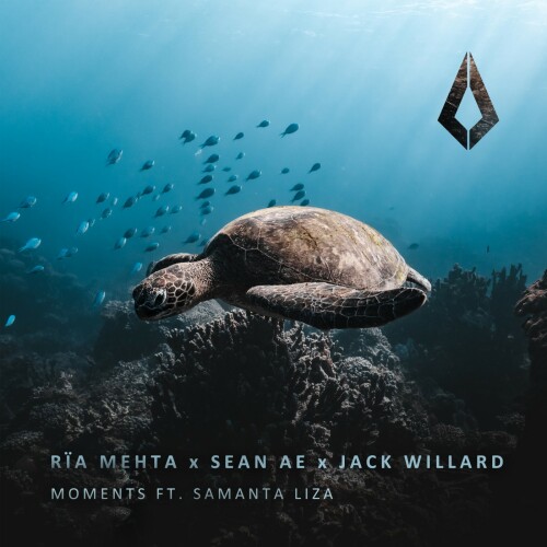 Rïa Mehta x Sean Ae x Jack Willard - Moments (2024) Download