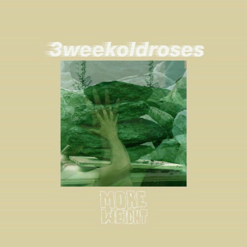 3weekoldroses – More Weight (2019)