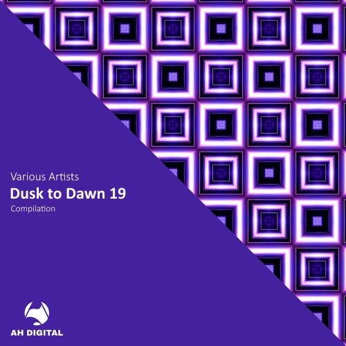 Various Artists – Dusk to Dawn 19 (2024)