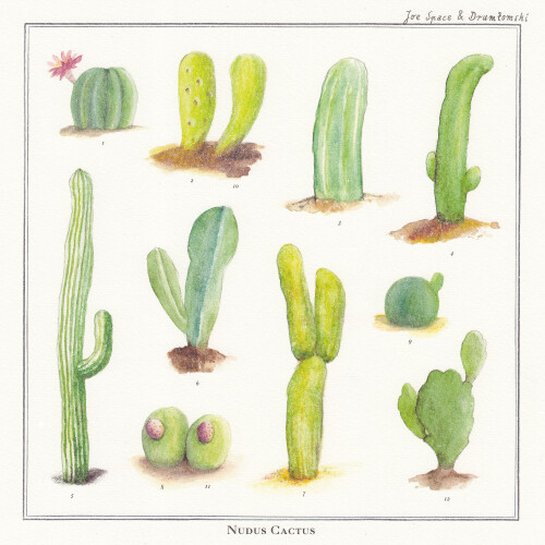 Joe Space & Drumtomski - Nudus Cactus (2014) Download