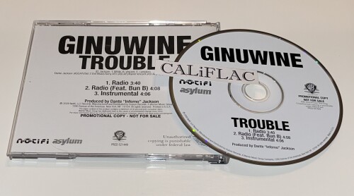 Ginuwine – Trouble (2009)