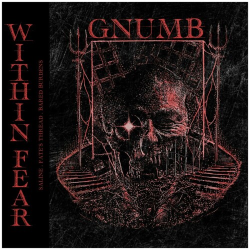 Gnumb - Within Fear (2024) Download