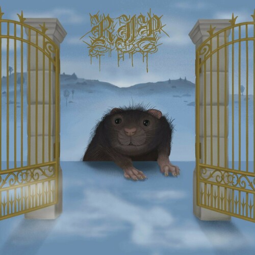 Rats In Paradise - Life Of Insects (2024) Download