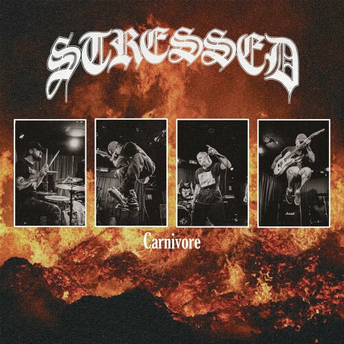 Stressed – Carnivore (2024)