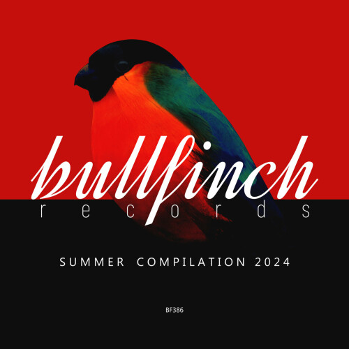 Various Artists - Bullfinch Summer 2024 Compilation (2024) Download