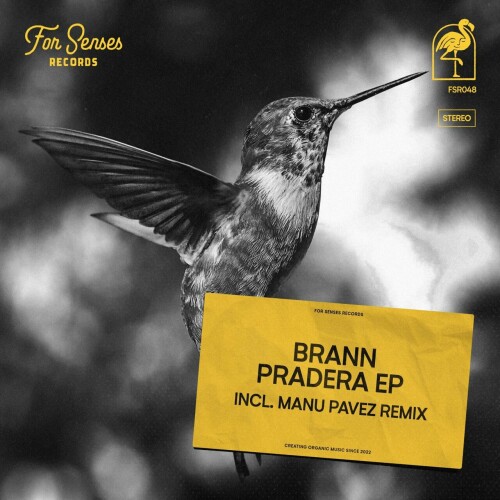 Brann (AR) – Pradera (2024)