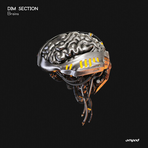 Dim Section – Brains (2024)