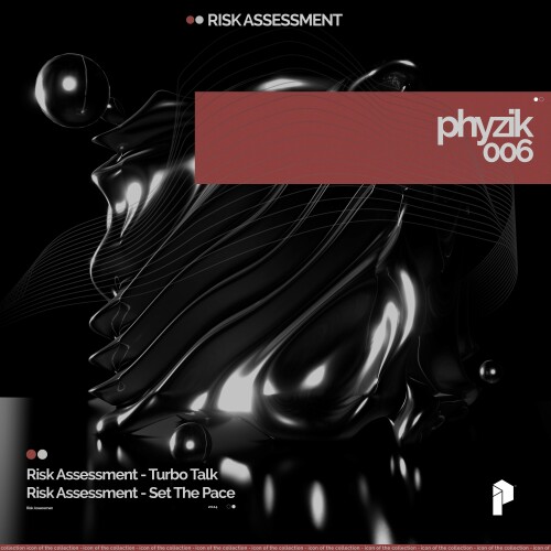 Risk Assessment - Phyzik 006 (2024) Download