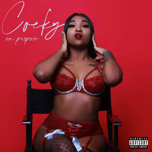 Erica Banks - Cocky on Purpose 2 (2024) Download