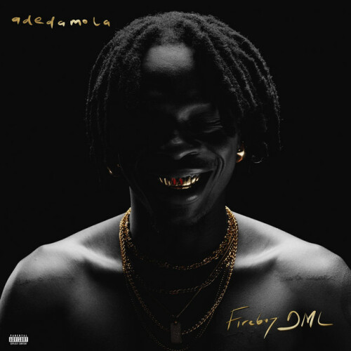 Fireboy DML – adedamola (2024)