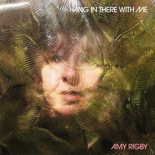 Amy Rigby - Hang in There with Me (2024) Download