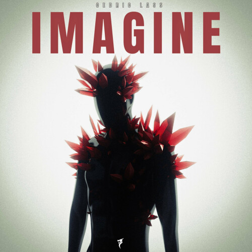 Cedric Lass-Imagine-(DRAGON644)-16BIT-WEB-FLAC-2024-AFO