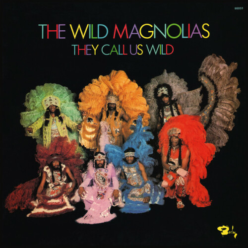 The Wild Magnolias - They Call Us Wild (2024) Download