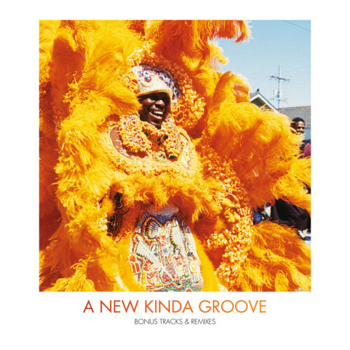 The Wild Magnolias - A New Kinda Groove: Bonus Tracks And Remixes (2024) Download