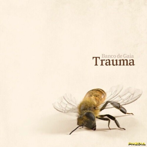 Banco De Gaia - Trauma (2024) Download