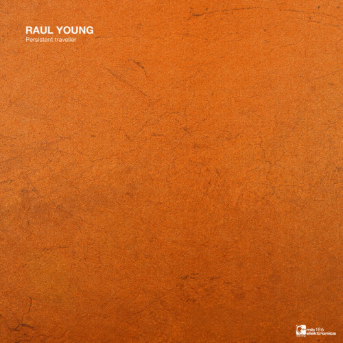 Raul Young – Persistent Traveller EP (2024)