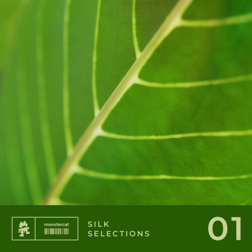 Various Artists – Silk Selections 01 (2024)