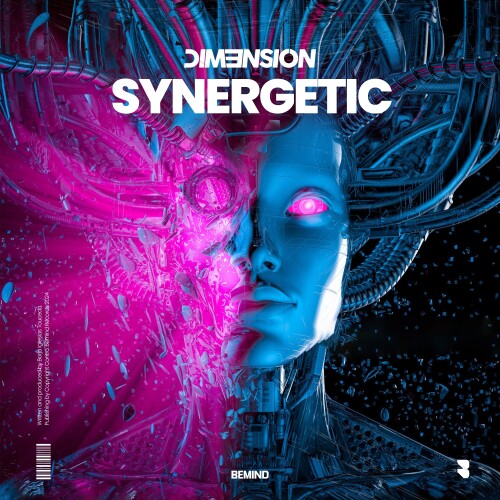 DIM3NSION-Synergetic-(BMD018)-24BIT-WEB-FLAC-2024-AOVF