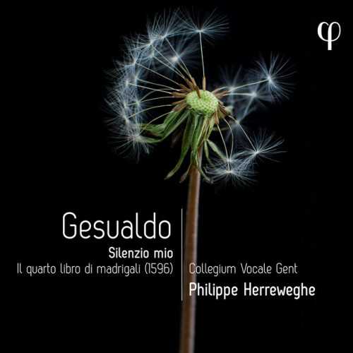 Collegium Vocale Gent – Gesualdo Silenzio mio. Il quarto libro di madrigali (2024) [24Bit-96kHz] FLAC [PMEDIA] ⭐️