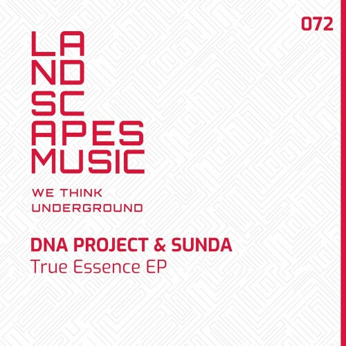 DNA Project ft Nathania Claire – True Essence (2024)