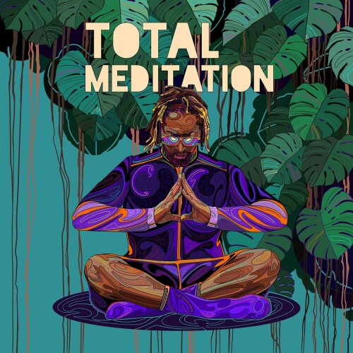 Lil Jon and Kabir Sehgal - Total Meditation (2024) Download