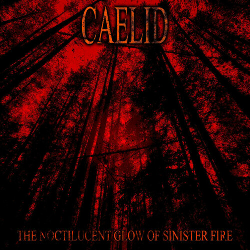 Caelid – The Noctilucent Glow Of Sinister Fire (2024)