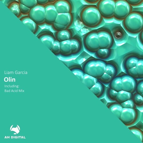 Liam Garcia – Olin (2024)