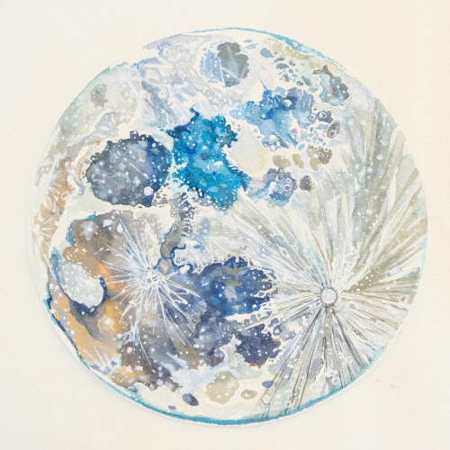 Shape of the Moon-When the land is laid bare-(MARIONETTE30)-24BIT-WEB-FLAC-2026-ENRiCH
