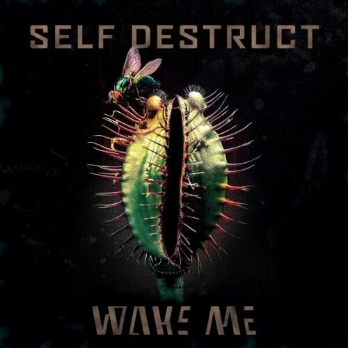 Wake Me-Self Destruct-24BIT-WEB-FLAC-2025-VEXED