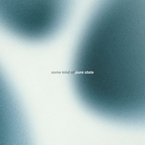 The Dharma Chain-Some Kind Of Pure State-24BIT-WEB-FLAC-2026-ENViED