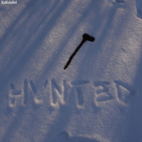 Nattslottet-Hunted-24BIT-WEB-FLAC-2026-MOONBLOOD