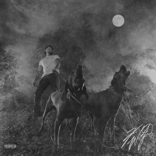 Koe Wetzel-The Night Champion-24BIT-WEB-FLAC-2026-ENRiCH