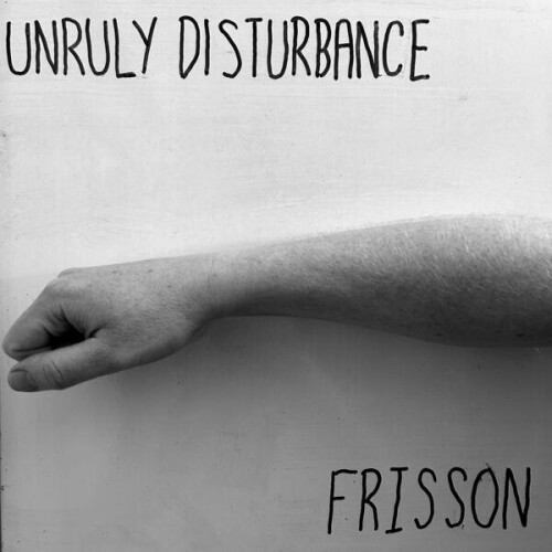 Unruly Disturbance-Frisson-24BIT-WEB-FLAC-2026-ENRiCH