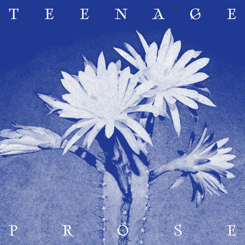 Ghosts and Errors-Teenage Prose-24BIT-WEB-FLAC-2026-ENRiCH