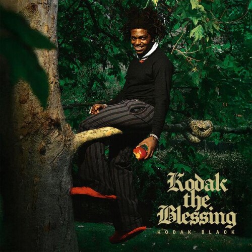Kodak Black-Kodak The Blessing-24BIT-WEB-FLAC-2026-ENRiCH