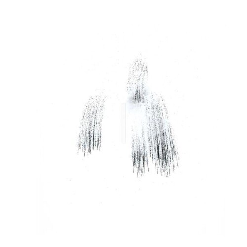 Akira Uchida-Nusa-(IIKKI031)-24BIT-WEB-FLAC-2026-ENRiCH