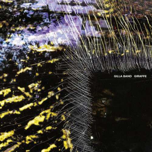 Gilla Band-Giraffe-SINGLE-24BIT-WEB-FLAC-2026-ENRiCH