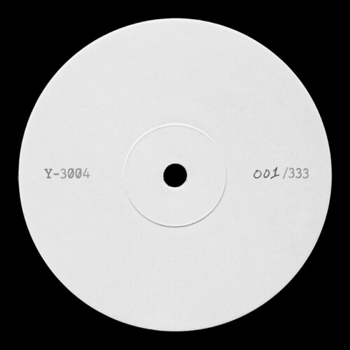 Solitary Dancer-Y-3004-24BIT-WEB-FLAC-2026-ENRiCH