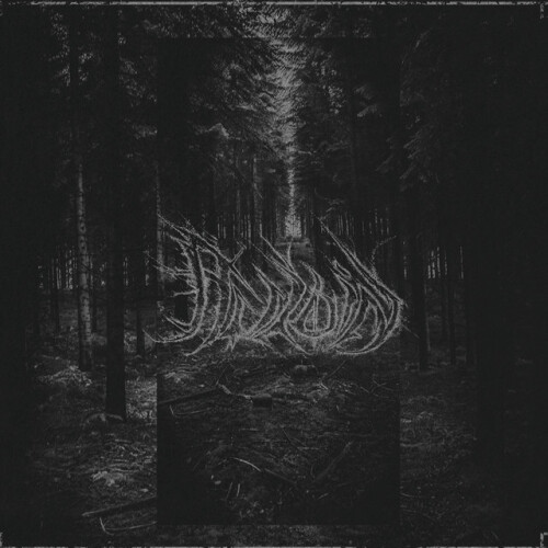 Au Loin-Au Loin-24BIT-WEB-FLAC-2025-MOONBLOOD