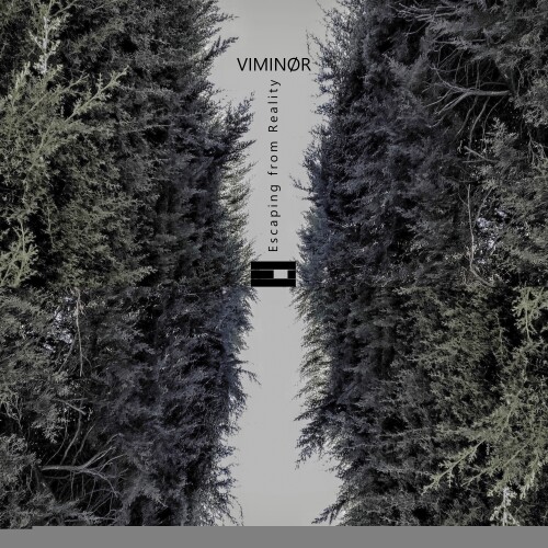 VIMINOR-Escaping from Reality-(DF088)-24BIT-WEB-FLAC-2026-PTC