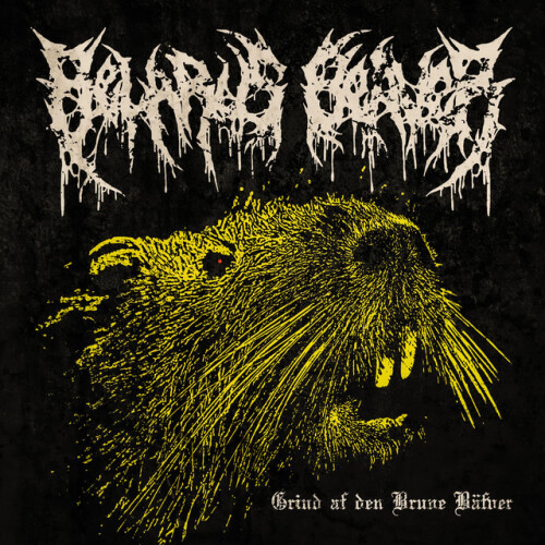 Belarus Beaver-Grind Af Den Brune Bafver-24BIT-WEB-FLAC-2026-ENTiTLED