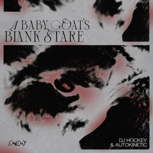 DJ Hockey And Autokinetic-A Baby Goats Blank Stare-ENEMY045-24BIT-WEB-FLAC-2026-WAVED