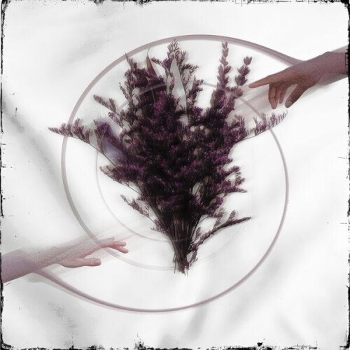Take The Name-Limerence-24BIT-WEB-FLAC-2026-ENTiTLE